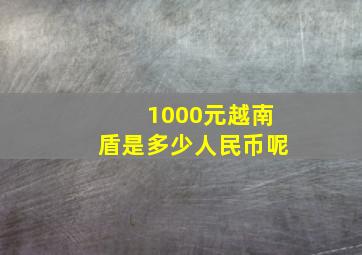 1000元越南盾是多少人民币呢