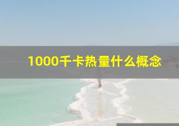 1000千卡热量什么概念