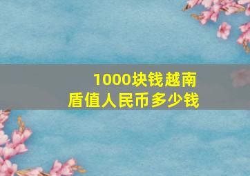 1000块钱越南盾值人民币多少钱