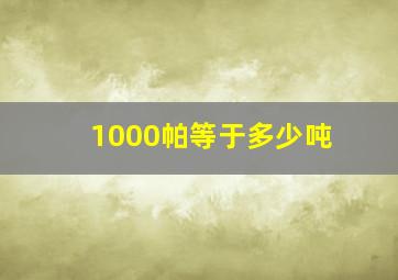 1000帕等于多少吨