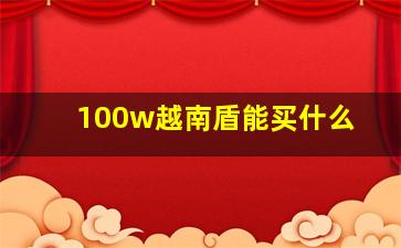 100w越南盾能买什么