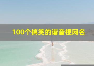 100个搞笑的谐音梗网名