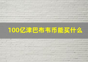 100亿津巴布韦币能买什么