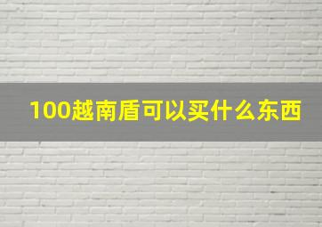 100越南盾可以买什么东西