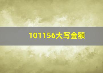 101156大写金额