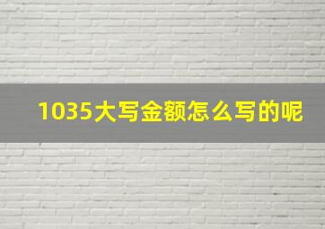 1035大写金额怎么写的呢