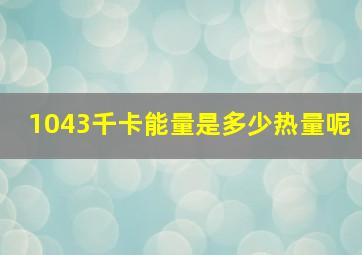 1043千卡能量是多少热量呢