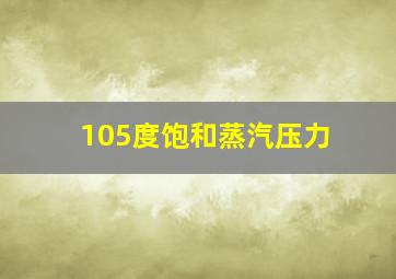 105度饱和蒸汽压力