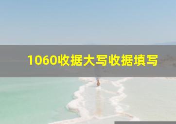 1060收据大写收据填写