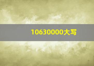 10630000大写