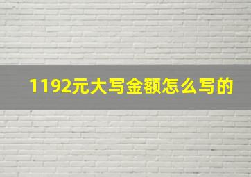 1192元大写金额怎么写的