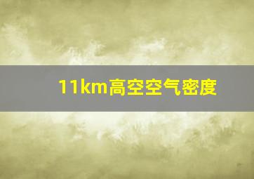 11km高空空气密度