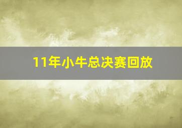 11年小牛总决赛回放