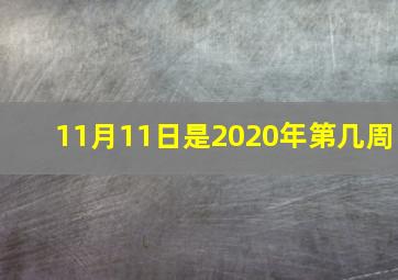 11月11日是2020年第几周