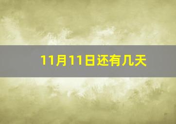 11月11日还有几天