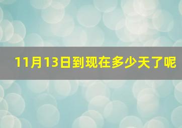 11月13日到现在多少天了呢