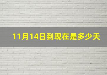 11月14日到现在是多少天