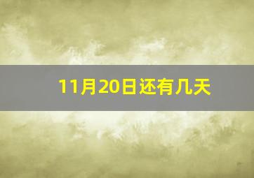 11月20日还有几天