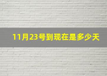 11月23号到现在是多少天