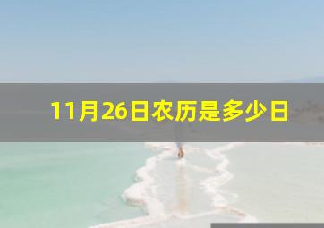 11月26日农历是多少日