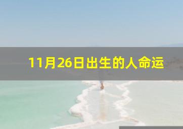 11月26日出生的人命运