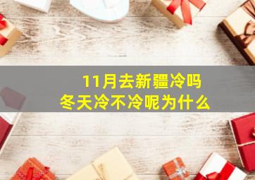 11月去新疆冷吗冬天冷不冷呢为什么