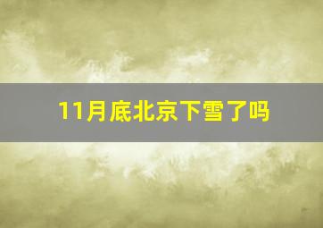 11月底北京下雪了吗