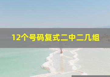 12个号码复式二中二几组