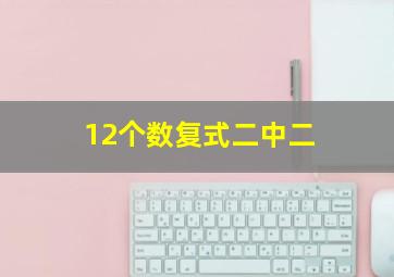 12个数复式二中二