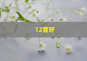 12宫好