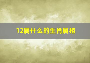 12属什么的生肖属相