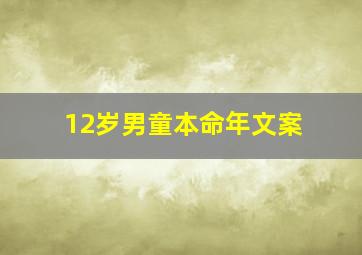 12岁男童本命年文案