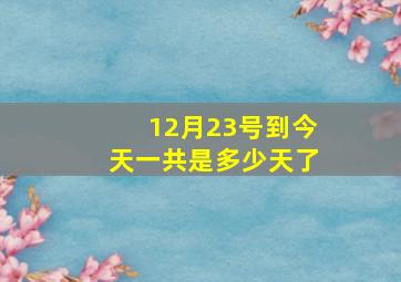 12月23号到今天一共是多少天了