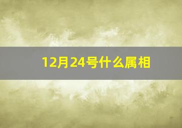 12月24号什么属相