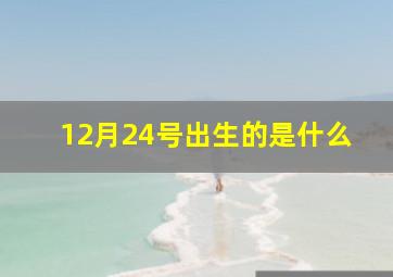 12月24号出生的是什么