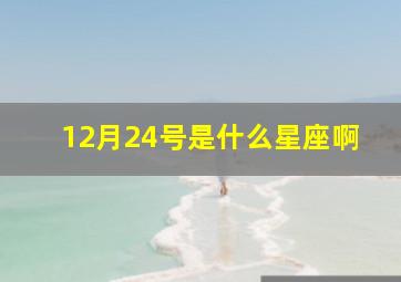 12月24号是什么星座啊