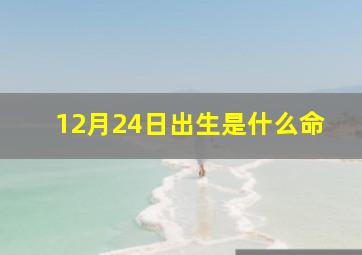 12月24日出生是什么命