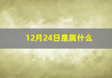 12月24日是属什么