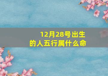 12月28号出生的人五行属什么命