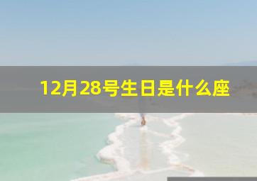 12月28号生日是什么座