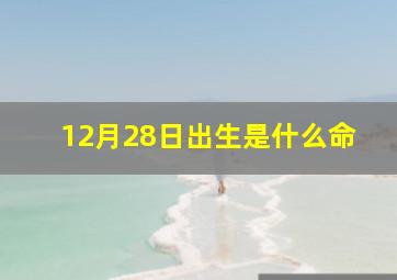 12月28日出生是什么命