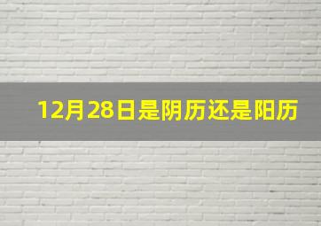 12月28日是阴历还是阳历