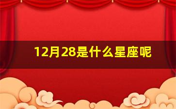 12月28是什么星座呢