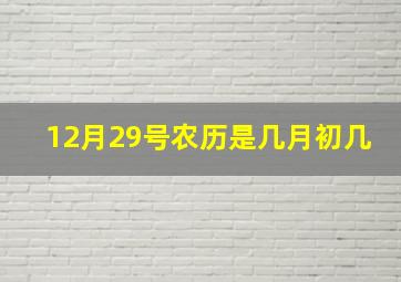 12月29号农历是几月初几