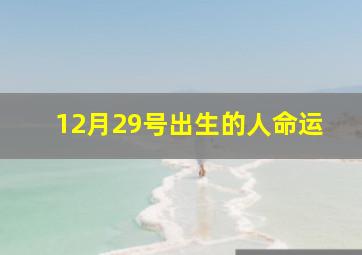 12月29号出生的人命运