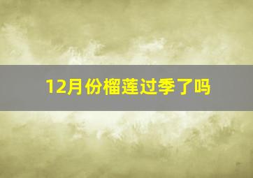 12月份榴莲过季了吗