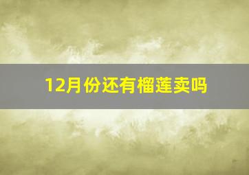 12月份还有榴莲卖吗