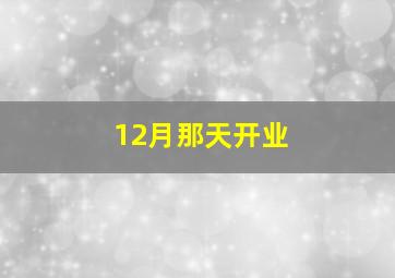 12月那天开业