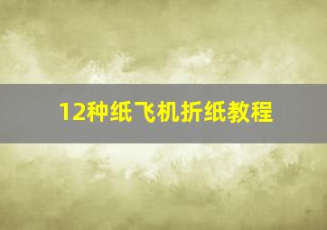 12种纸飞机折纸教程