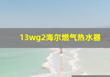 13wg2海尔燃气热水器